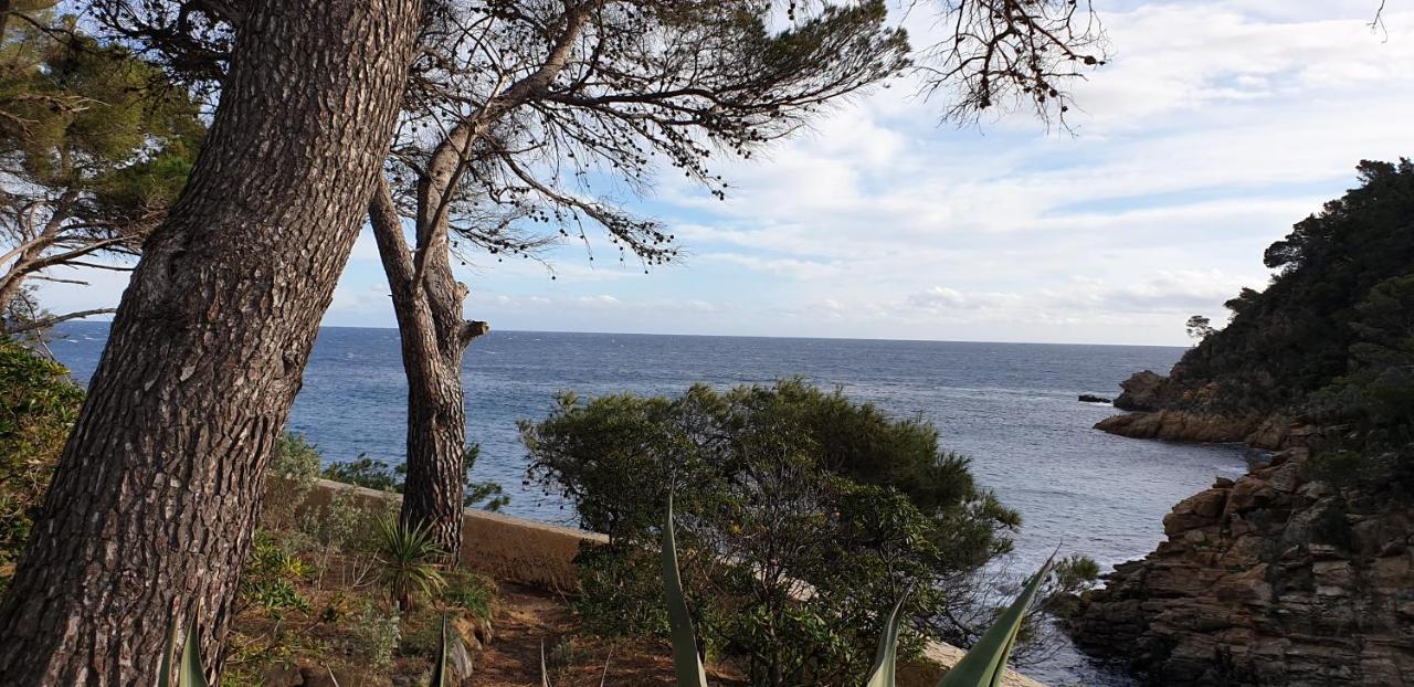 Maison Provencale Cavalaire-sur-Mer Dış mekan fotoğraf